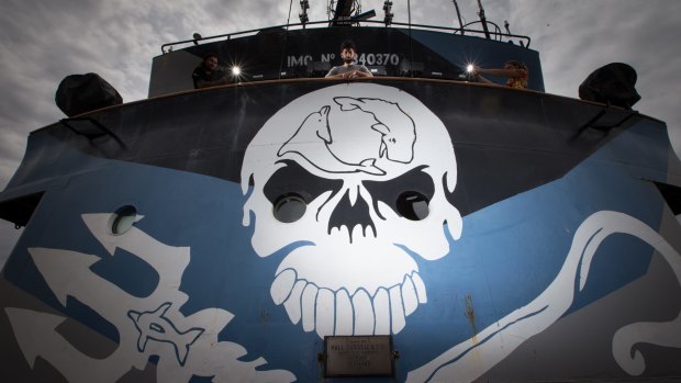 Sea Shepherd dispatched its ship Steve Irwin to patrol the Southern Ocean over summer but was unable to locate the Japanese whaling fleet.