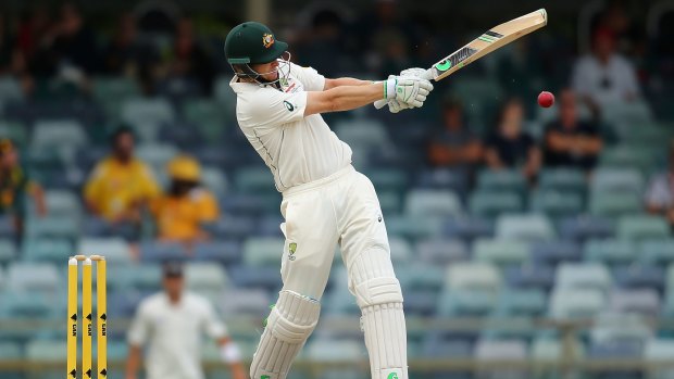 Long apprenticeship: Adam Voges waited 10 years for a Test call-up. 