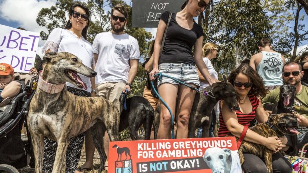 Protesters argued a new greythound racing track could perpetuate animal cruelty and add to Logan's gambling problems.