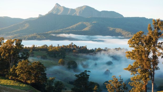 Scenic country views of Mount Warning in the Tweed Range.