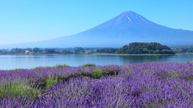 Fuji Five Lakes, Yamanashi Prefecture, Japan
