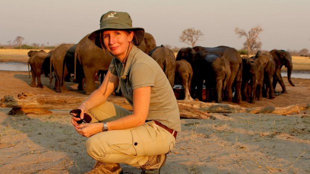 Cairns zoologist Dr Tammie Matson, 40, is doing her bit to boost the prospects of the world's elephant population.
