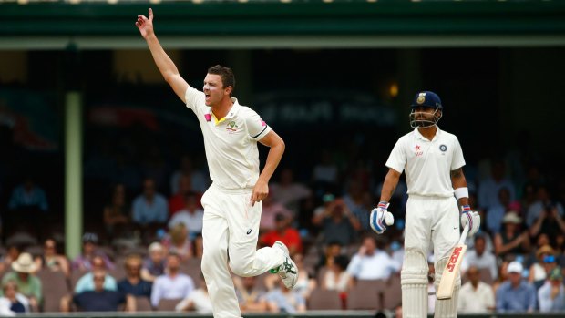 Hope for the future: Josh Hazlewood claims the wicket of Murali Vijay on day five at the SCG.