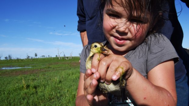 Kataylah Rose Cooper holds a duckling found in the wetlands on the property her father manages in the Macquarie Marshe.