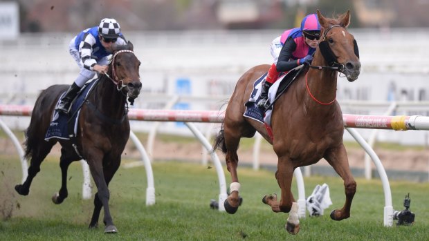 Everestbound: Vega Magic wins the Memsie Stakes at Caulfield last month