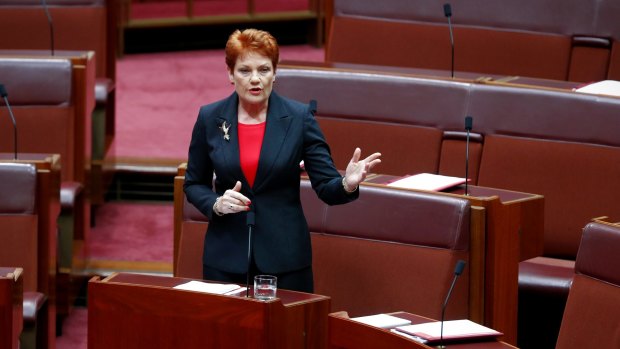 Out on a limb: Senator Pauline Hanson debating in the Senate. 