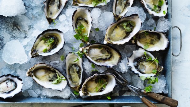 Spiked Oysters. 