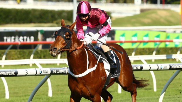 Perfect run: Kathy O'Hara rides Noble Joey to victory in the opening race at Randwick.