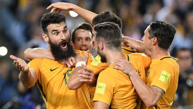 Things going awry at head office could impact the Socceroos. 