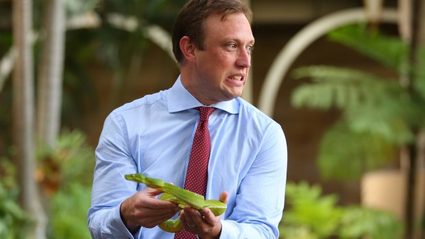 Queensland Environment Minister Steven Miles was right at home with this green python.