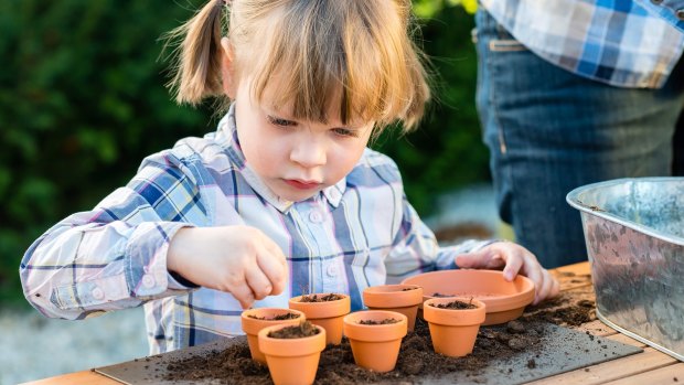 It's spring, so plant these school holidays.