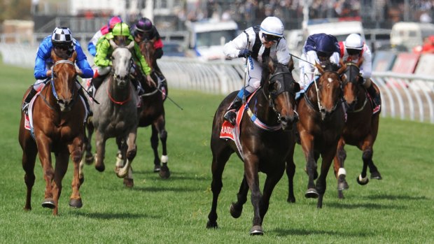 A miss in 2008: Mick Price's Pre Eminence finishes third behind Rebel Raider and Whobegotyou in the 2008 Victoria Derby.
