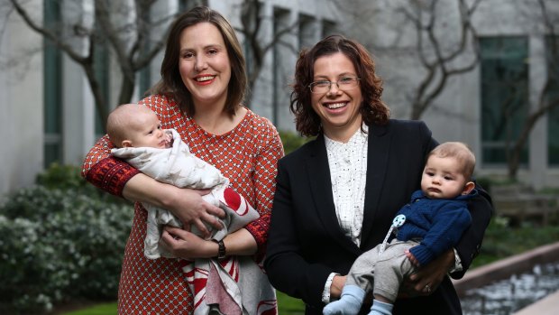 Ms O'Dwyer, pictured with Labor's Amanda Rishworth and son Percy, is one of three new mums in the Parliament. 