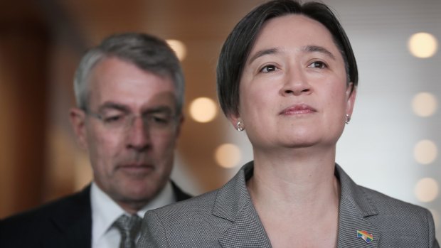 Labor's Penny Wong and Mark Dreyfus announced the party would vote down any amendments.