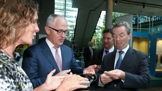 Prime Minister Malcolm Turnbull and Industry Minister Christopher Pyne visited CSIRO in December to launch their innovation policy,with CEO Larry Marshall in the background.
