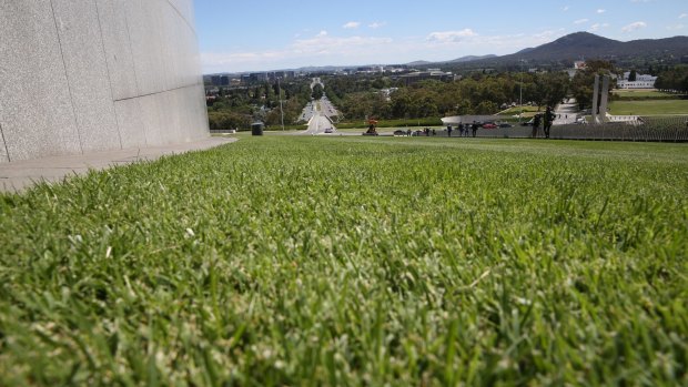 The lawns at Parliament House.