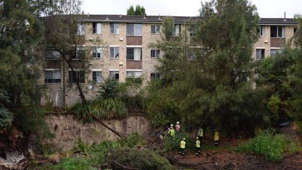 Emergency services inspect the pond behind a unit block in Ewart Street, Marrickville.