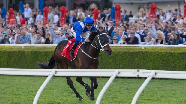 Winx will be racing in the Turnbull Stakes at Flemington.