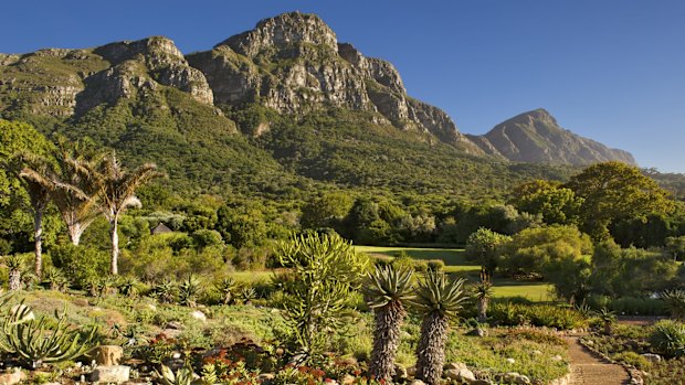 Kirstenbosch Botanic Gardens.