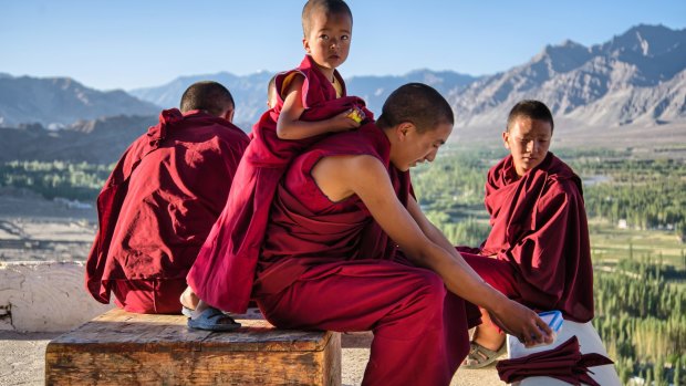 Spiritual abundance: Young Buddhist monks in Thiksey, Ladakh.