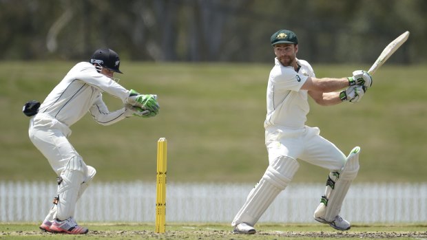 In doubt: Ryan Carters of the Cricket Australia XI bats against New Zealand at Blacktown International Sportspark.