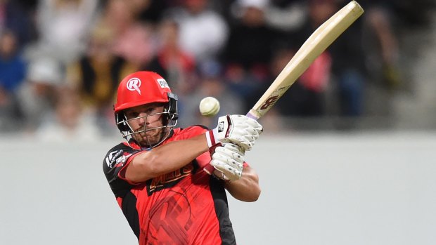 Crunch: Aaron Finch was devastating for the Renegades.