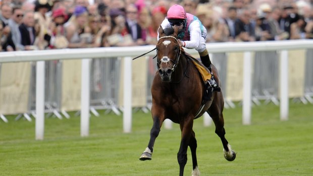 Pure class: Frankel gaps the field in the Anne Stakes during Royal Ascot in 2012.