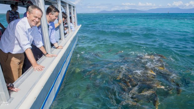 Labor leader Bill Shorten on a visit to Green Island, off Cairns.