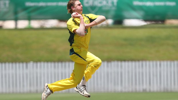 Wanted man: Will Sutherland has chosen cricket.