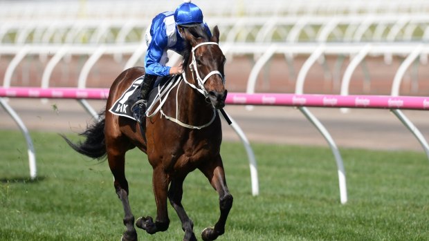 Superstar: Winx is expected to win her third Cox Plate.