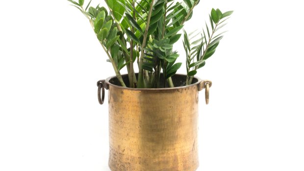 Antique brass planter, from $125.