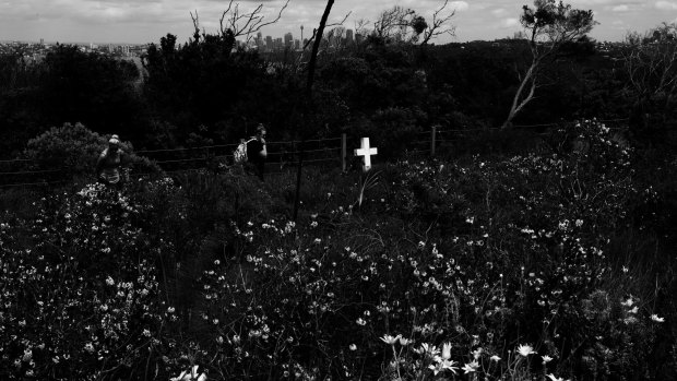 Ground-penetrating radar is being used by archaeologists and students to find unmarked graves at the Third Quarantine Cemetery near the Quarantine Station at North Head. 