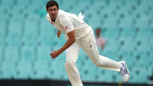 Happy returns: Mitchell Starc is predicted to have a major impact during the Ashes series.