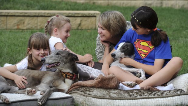 Dee Gibbon at home in Macquarie with family pet Opie, right, foster dog Hughie, and daughter Maya, 12, right, with neighbours Ella Hatch, 8, left, and Amelie Hatch, 6.