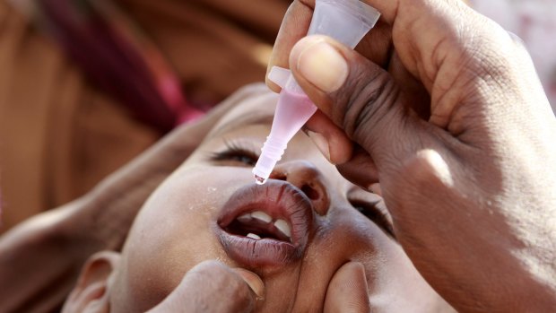 Nearly eradicated: A Somali refugee child receives a polio drop at a  refugee camp in Dadaab, near the Kenya-Somalia border. 