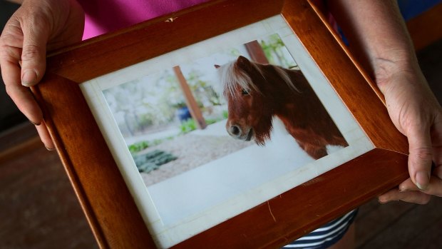 Danina Ward holds a photo of one of her treasured ponies, Molly.