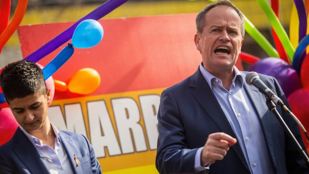 The Turnbull government should immediately allow MPs a free vote on gay marriage, says Bill Shorten.