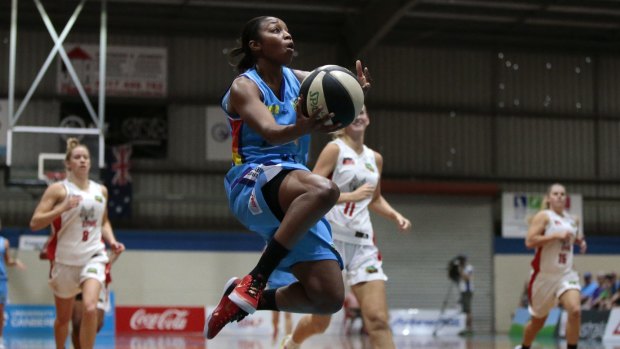 Canberra Capitals player Renee Montgomery was bitten by a white-tip spider on Monday night.