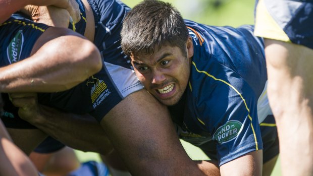 Brumbies player Jarrad Butler could still figure in the World Cup despite not being named in the Wallabies provisional squad