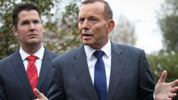 Prime Minister Tony Abbott says savings are needed for an expansion to childcare payments.