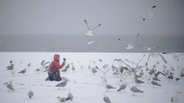 A woman photographs seagulls on the beach on New York's Coney Island during a snow storm on Friday.