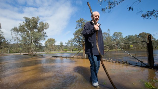 Colin McCormack on his flooded farm in Ovens.