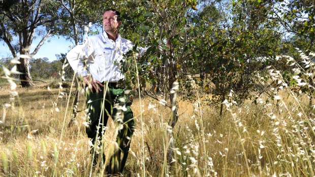 ACT Parks and Conservation Service head Brett McNamara says the ACT could see some changes due to climate change.