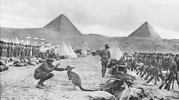 The Australian 9th and 10th Battalions at Mena Camp, looking towards the Pyramids. The soldier in the foreground is playing with a kangaroo, the regimental mascot.
