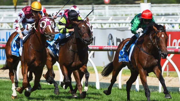 In charge: Oppie Bosson steers Turn Me Loose (right) to victory in the Futurity Stakes at Caulfield on Saturday.