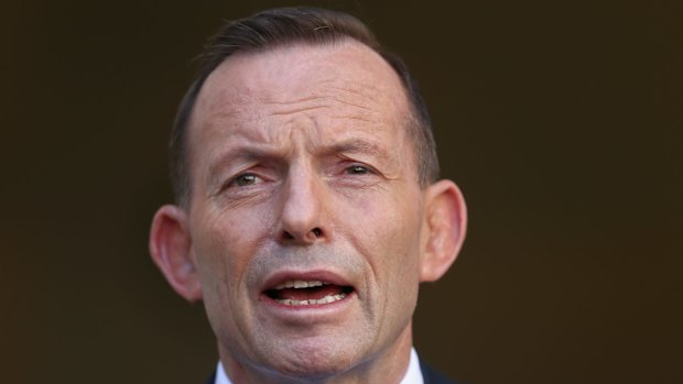 Tony Abbott: "he promised to end the soap opera, but the show goes on".