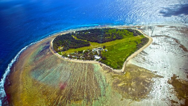 Lady Elliot Island.