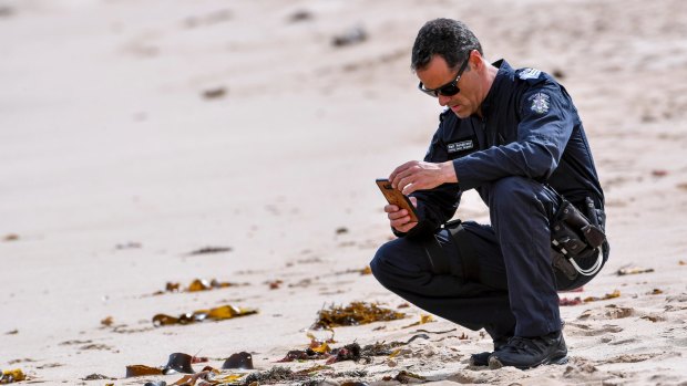 Police search for evidence at the beach near Anglesea (at the end of Odonohue Road) where human body remains reported found. 11 October 2017. The Age News. Photo: Eddie Jim.