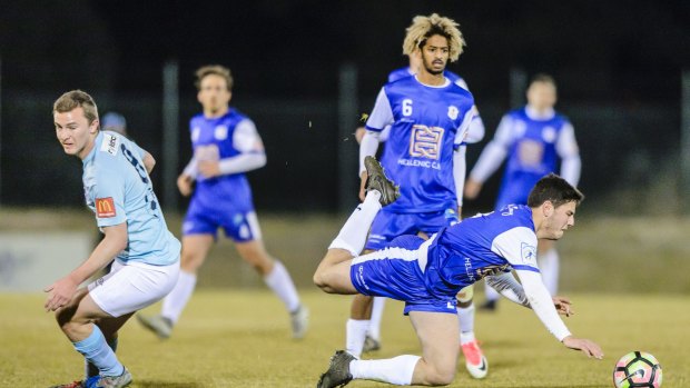 Canberra Olympic will chase a Capital Football title.