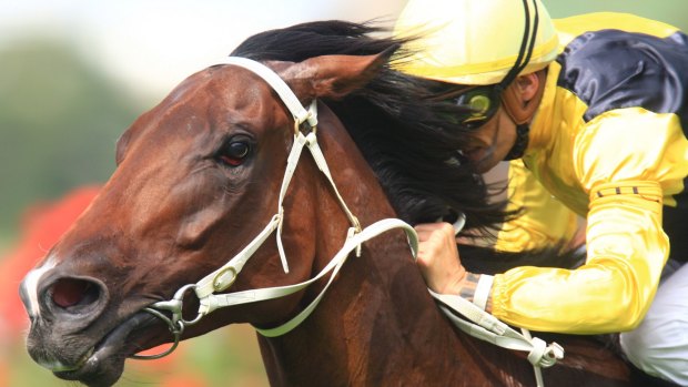 Out to pasture: Rain Affair and Corey Brown score at Rosehill in 2012.
